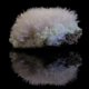 Mesolite acicular crystal spray over pale green apophyllite cluster reflected on black surface, macro photography by Minerals Photography