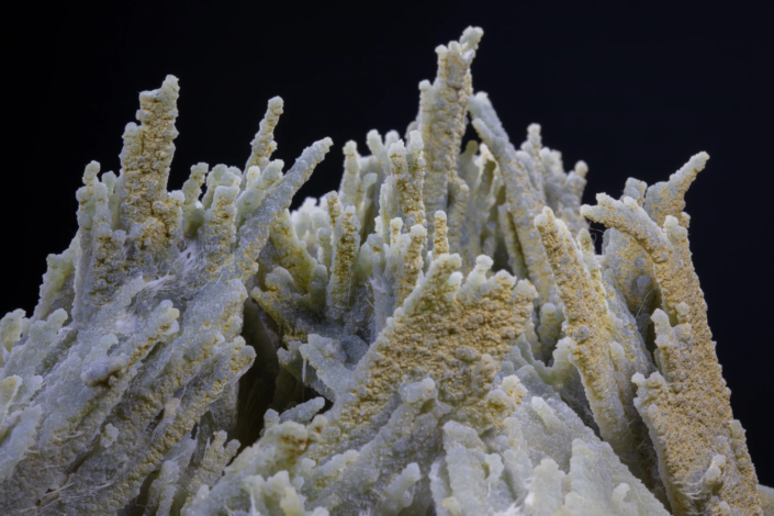 Anhydrite mineral specimen — top macro view showing full crystal spike formation against black background
