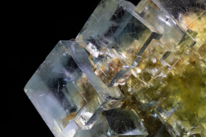 Macro view of color-zoned fluorite cubic crystals ranging from pale blue-gray to yellow-green with amber mineral inclusions visible inside the translucent crystal bodies — macro photography by Minerals Photography