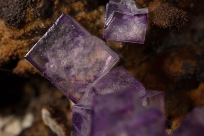 Extreme macro of a translucent purple fluorite cube showing cloudy internal phantom zones and iridescent surface reflections on a dark iron oxide matrix — macro photography by Minerals Photography