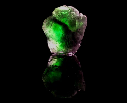 Bicolor Green and Purple Etched Fluorite Specimen — Minerals Photography Full specimen view of bicolor green and purple etched fluorite crystal with glowing emerald green interior and mirror reflection on black background — macro photography by Minerals Photography