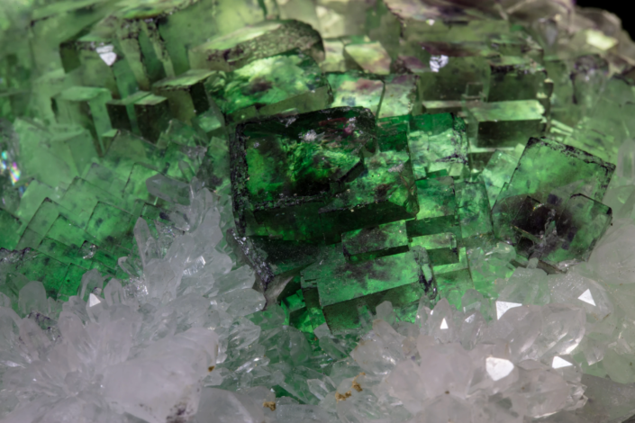 Macro view of deep green fluorite cubic crystals surrounded by white quartz crystal sprays showing strong color contrast — macro photography by Minerals Photography