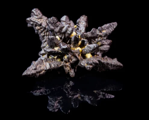 Hematite Pseudomorph After Marcasite Top View — Minerals Photography Top view of hematite pseudomorph after marcasite showing dark radiating spiky arms with yellow secondary mineral crystals at center, mirror reflection on black background — macro photography by Minerals Photography