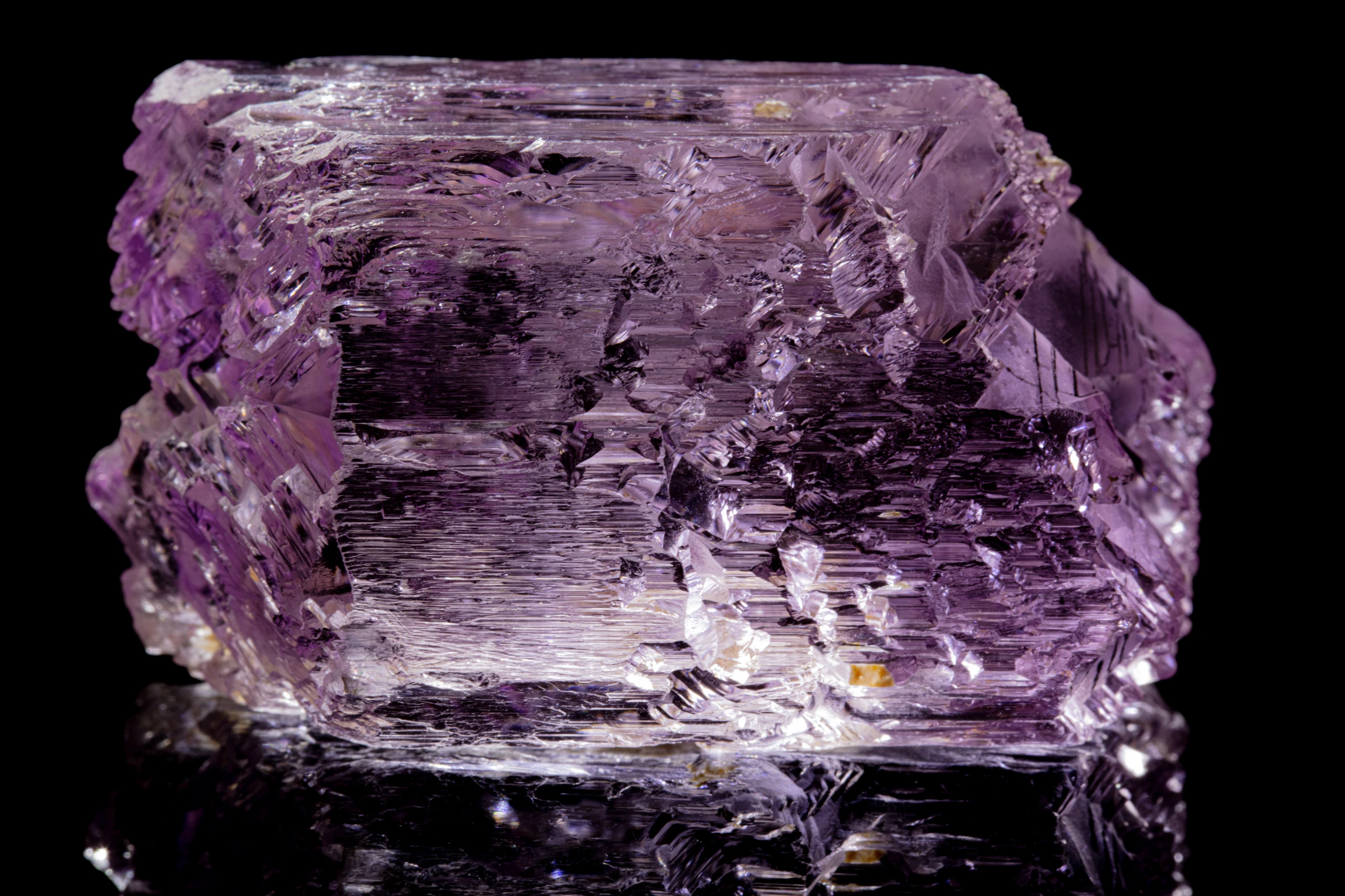 Large kunzite crystal with pale violet to lilac color and striated cleavage faces reflected on black surface, macro photography by Minerals Photography