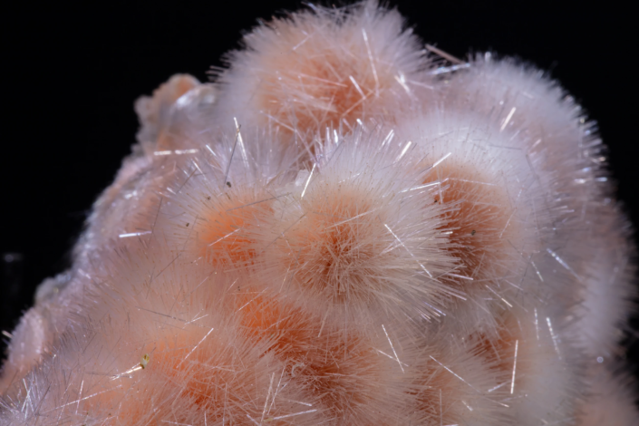 Full view of mesolite on thomsonite specimen with white acicular crystals and orange botryoidal spherules on black background, macro photography by Minerals Photography