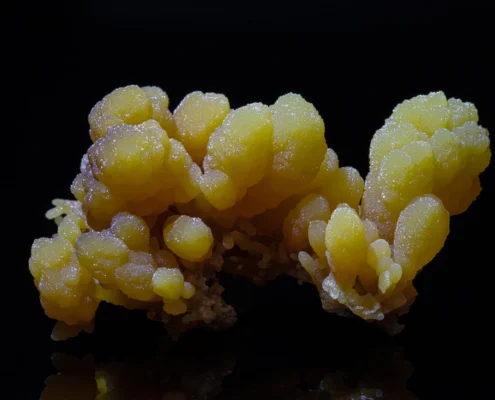 Mimetite — Botryoidal Lobes Detail — Minerals Photography Close-up of yellow mimetite botryoidal aggregates showing rounded lobes and glistening granular texture on black background, macro photography by Minerals Photography