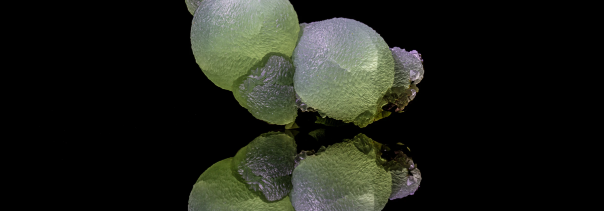 Prehnite botryoidal green globes with dark epidote crystals on black reflective surface, macro photography by Minerals Photography