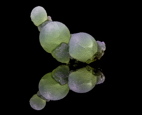 Prehnite on Epidote — Full Specimen with Reflection — Minerals Photography Prehnite botryoidal green globes with dark epidote crystals on black reflective surface, macro photography by Minerals Photography