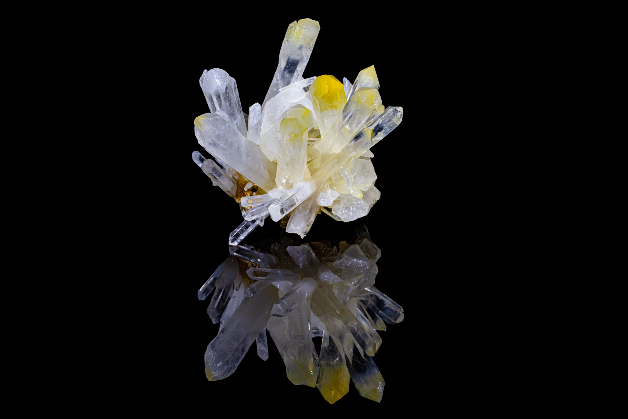 Quartz crystal cluster with yellow halloysite coating on terminations reflected on black mirror surface, macro photography by Minerals Photography