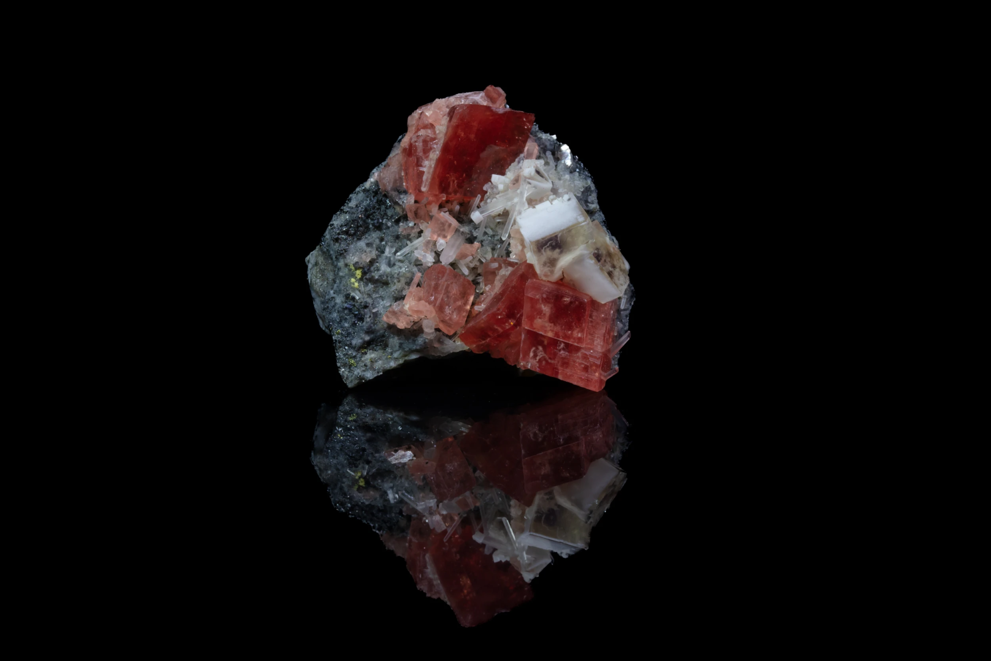 Rhodochrosite large red rhombohedral crystals with white bladed calcite on dark matrix reflected on black mirror surface, macro photography by Minerals Photography