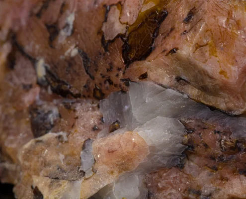 Close-up of rhodonite with white calcite crystal blades nestled between pink rhodonite and black manganese oxide zones, macro photography by Minerals Photography
