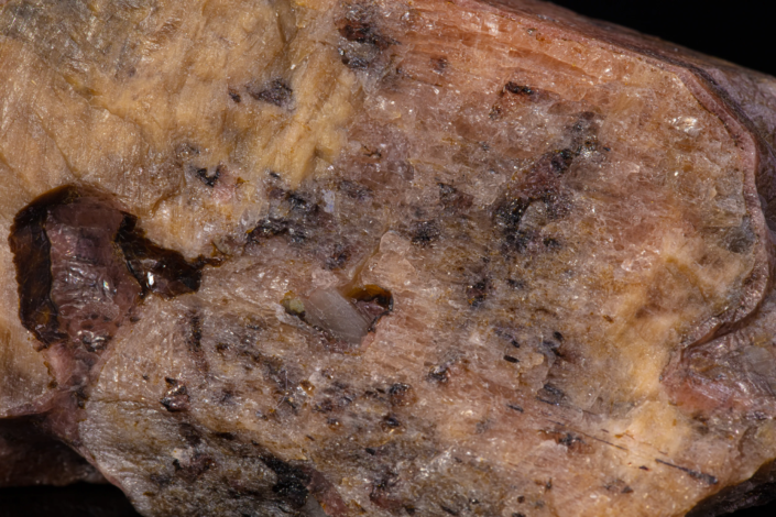 Macro of rhodonite crystal face showing fine striations with scattered black manganese oxide inclusions and amber-toned secondary zones, macro photography by Minerals Photography