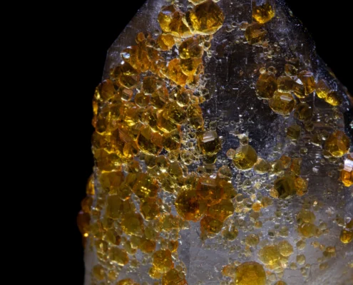 Spessartine Garnet on Smoky Quartz — Dodecahedral Crystal Faces Macro — Minerals Photography Extreme macro of spessartine garnet dodecahedral crystals showing golden-orange translucent faces on transparent quartz surface, macro photography by Minerals Photography