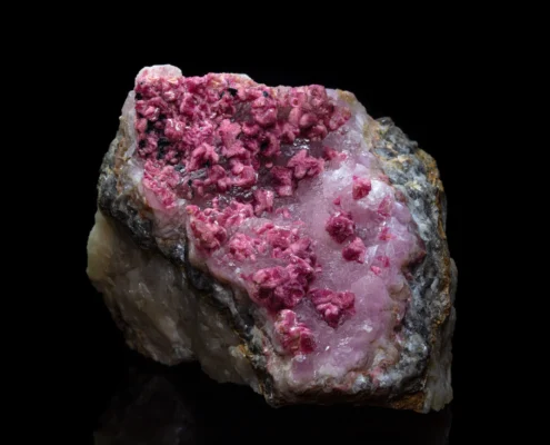 Cobalt-bearing talmessite with dense fuchsia pink botryoidal crystal clusters covering pale pink matrix on dark host rock, macro photography by Minerals Photography