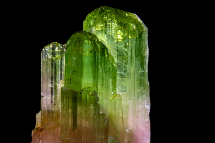 Macro close-up of bicolor tourmaline crystal terminations with vivid green prismatic tops, vertical striations, and pink base visible, macro photography by Minerals Photography