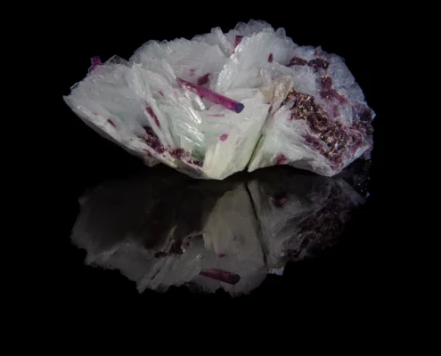Fan-shaped cleavelandite rosette with scattered pink rubellite tourmaline crystals and dark indicolite-capped terminations on reflective black surface, macro photography by Minerals Photography