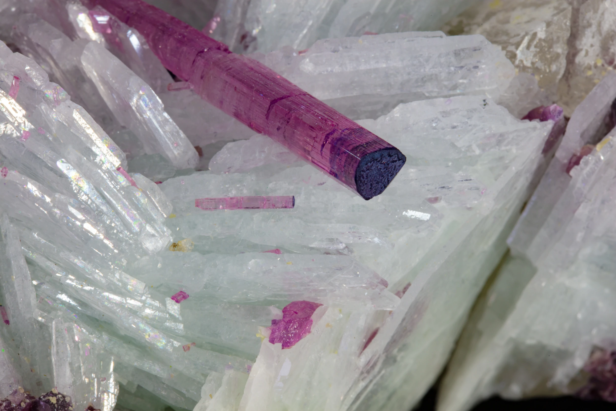 Macro close-up of a pink rubellite tourmaline crystal with dark indicolite cap resting on pale green cleavelandite plates, macro photography by Minerals Photography