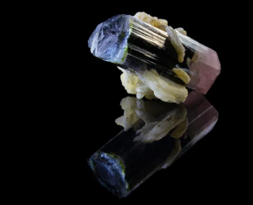Double-terminated bicolor tourmaline crystal with blue indicolite and pink rubellite terminations on cleavelandite matrix, on reflective black surface, macro photography by Minerals Photography