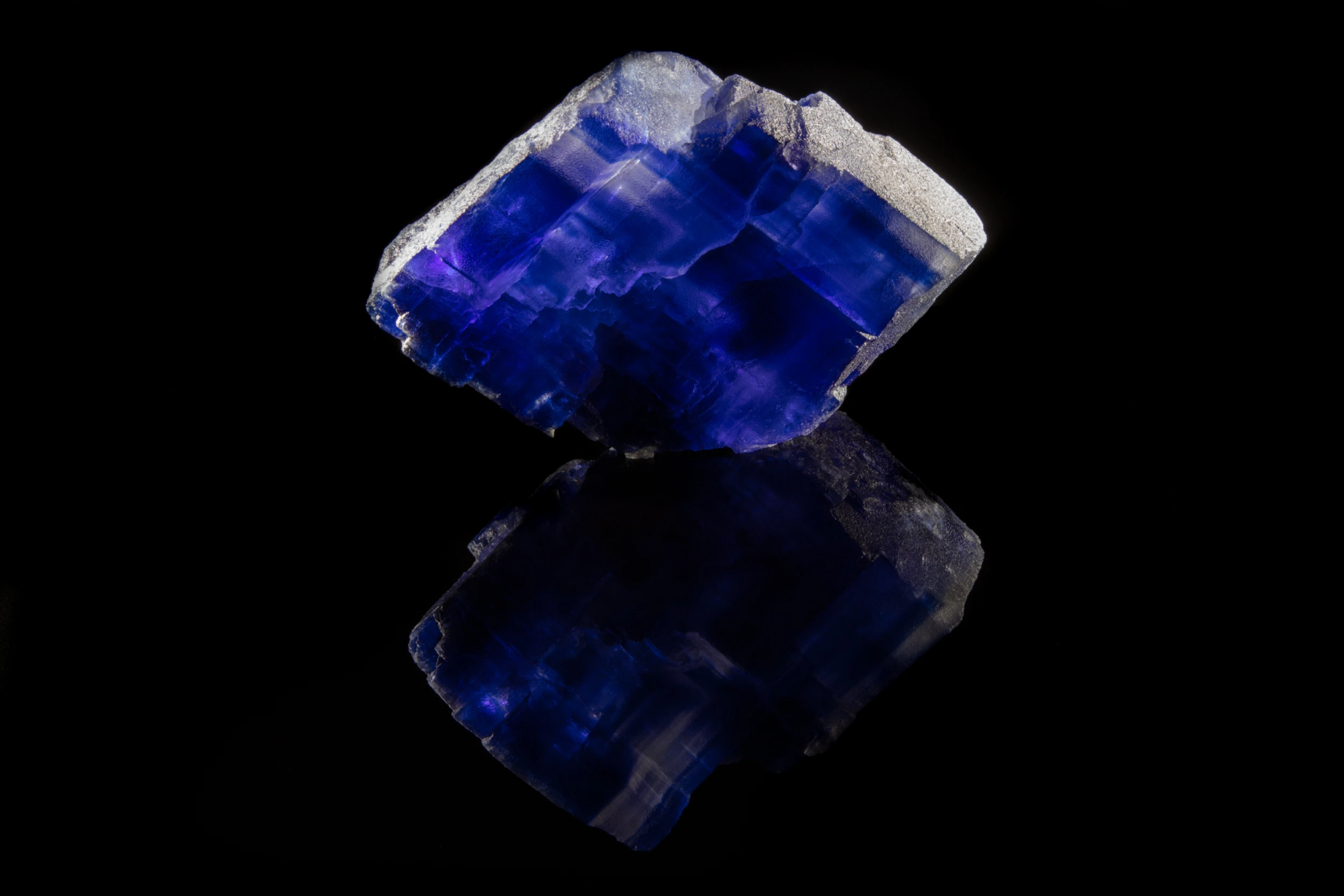 Deep blue-violet halite cubic crystal on mirror background with full reflection — mineral specimen photography by Minerals Photography
