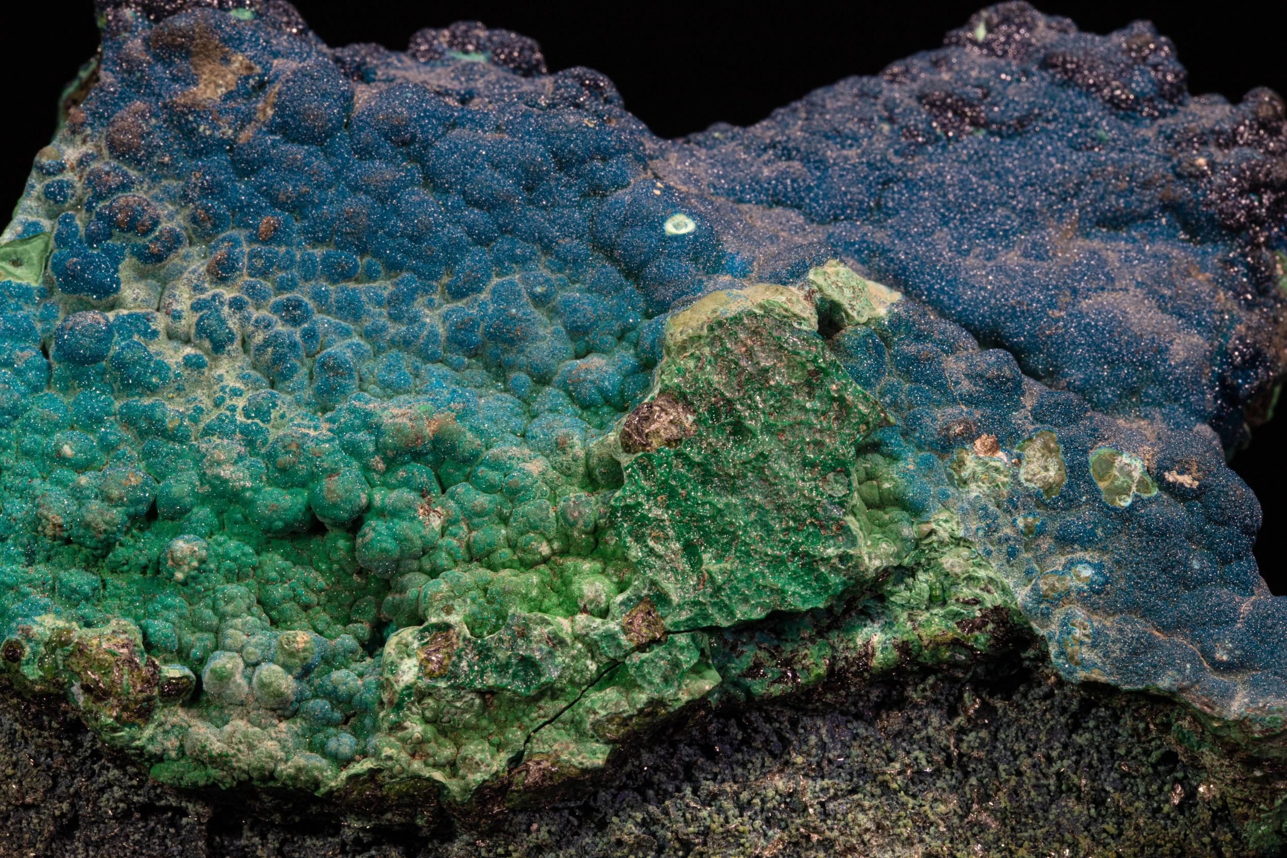 Green massive cornetite matrix with blue botryoidal crust, Congo.