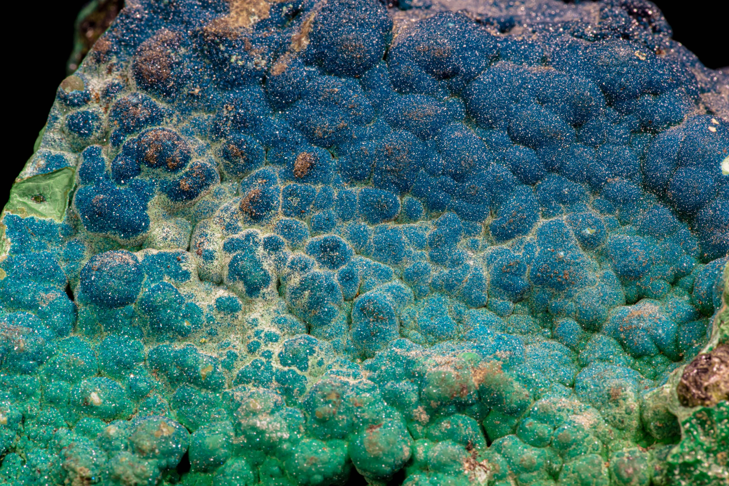 Deep blue sparkling cornetite mineral layer from Congo against black.
