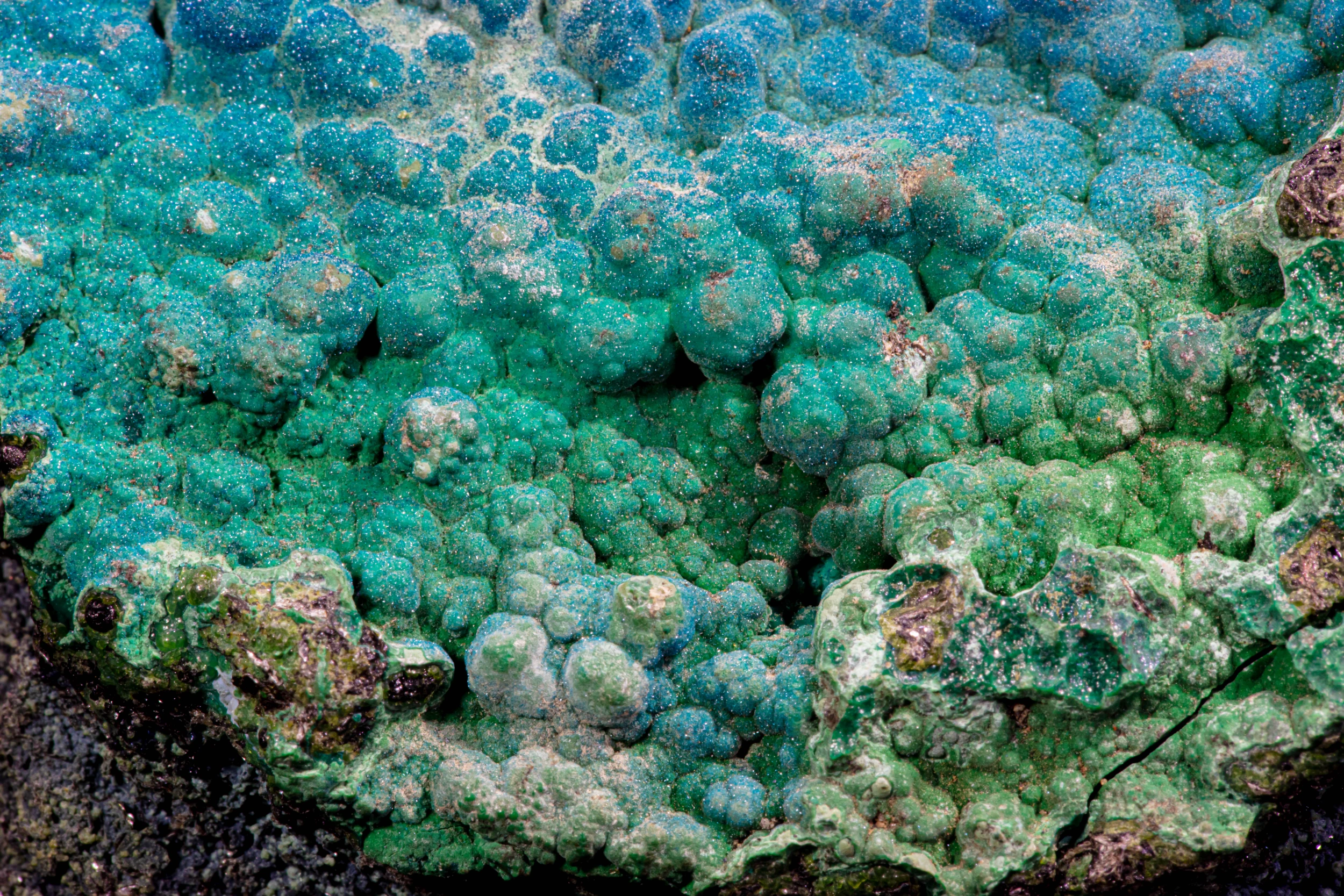 Microcrystalline blue to cyan botryoidal cornetite mineral clusters, Congo.