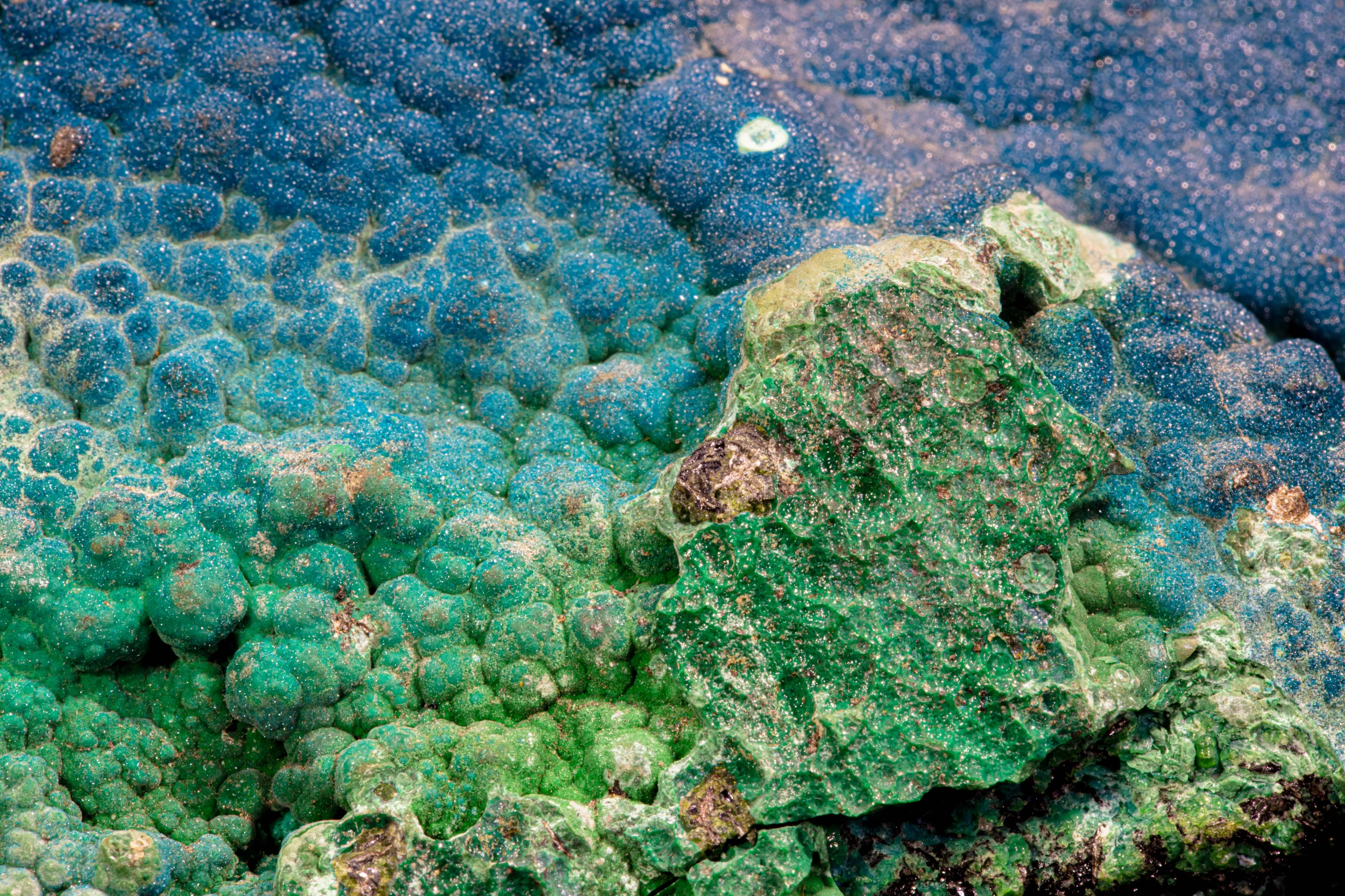 Flat plate specimen of blue botryoidal cornetite from Congo.